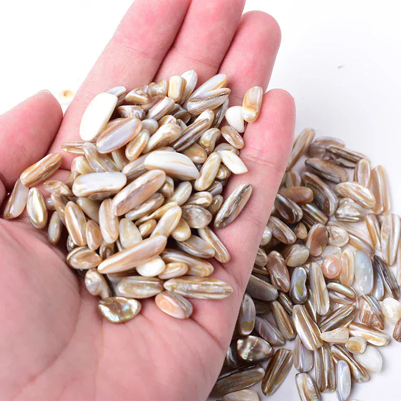 100g Natural Shell Conch Polished Gravel Specimen Home Decor Colorful for Aquarium Healing Energy Stone Rock Mineral DIY Gift Natural Conch / 100g Crystal + Quartz