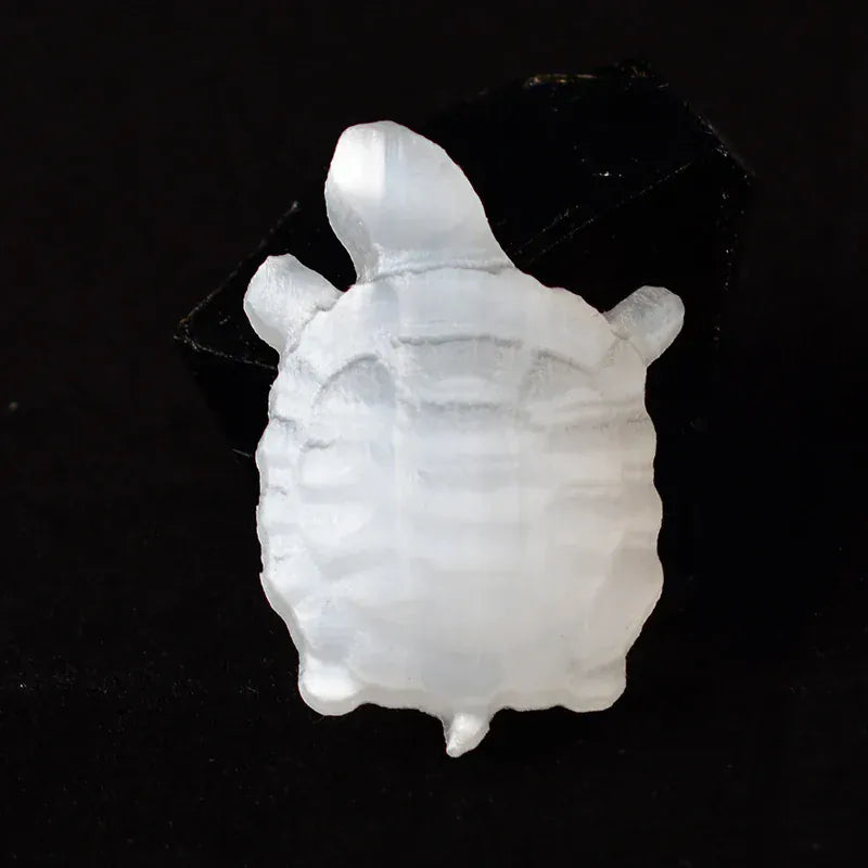 1PC Natural Crystal Selenite Stone Tortoise Loveliness Animal Crystal Crafts Lucky Items Feng Shui Collection Home Decor Gift Natural Selenite / 1PC Crystal + Quartz